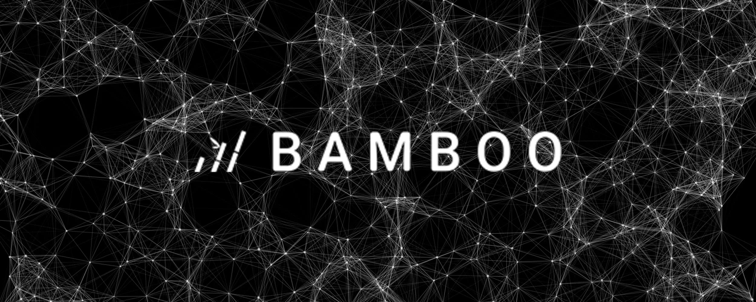 post header image for Started At Bamboo