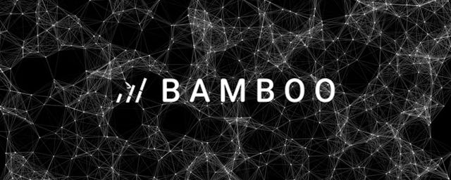 post cover image for Started At Bamboo